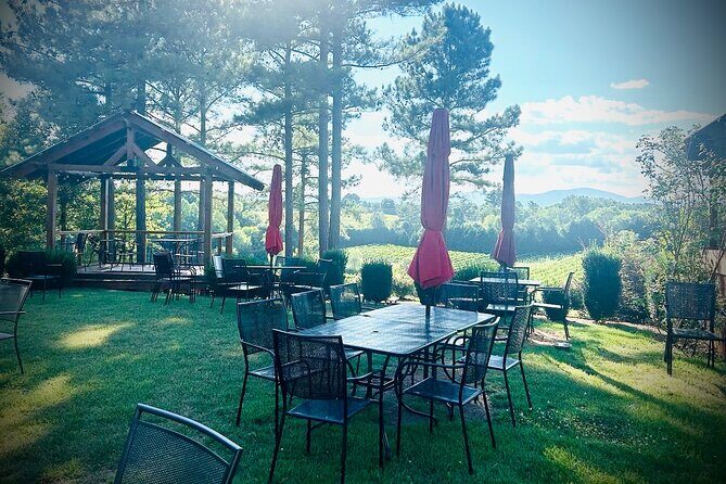 Three Vineyards Half Day Private Wine Tour From Asheville - Who Should Consider This Tour?