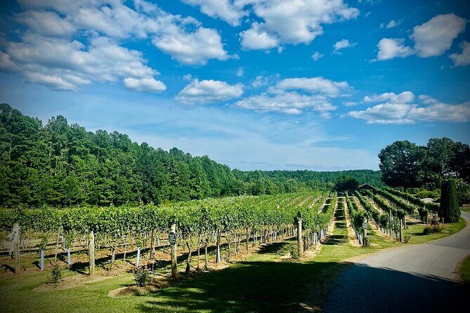 Three Vineyards Half Day Private Wine Tour From Asheville - The Sum Up