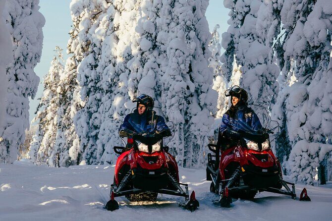 Thrill of Snowmobiling for Adults Only - Key Points