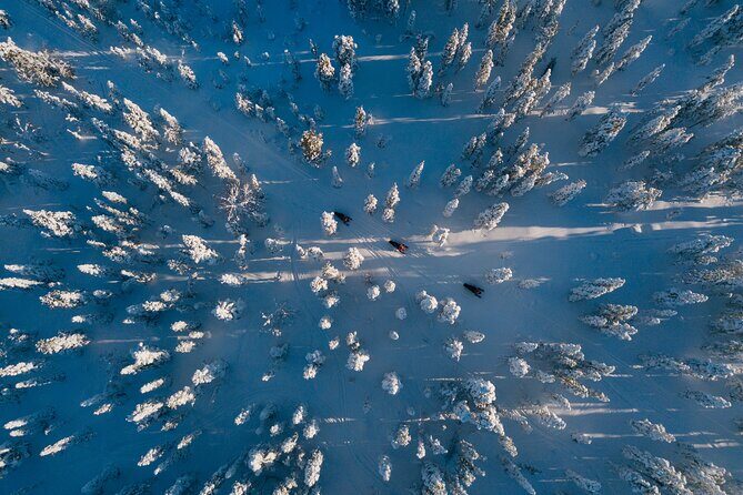 Thrill of Snowmobiling for Adults Only - Final Thoughts