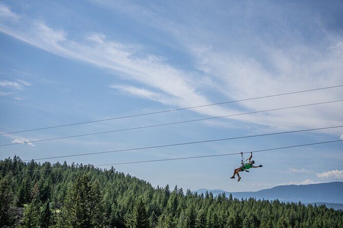 Thrilling 2-Hour Zipline Tour in Radium Hot Springs - The Sum Up