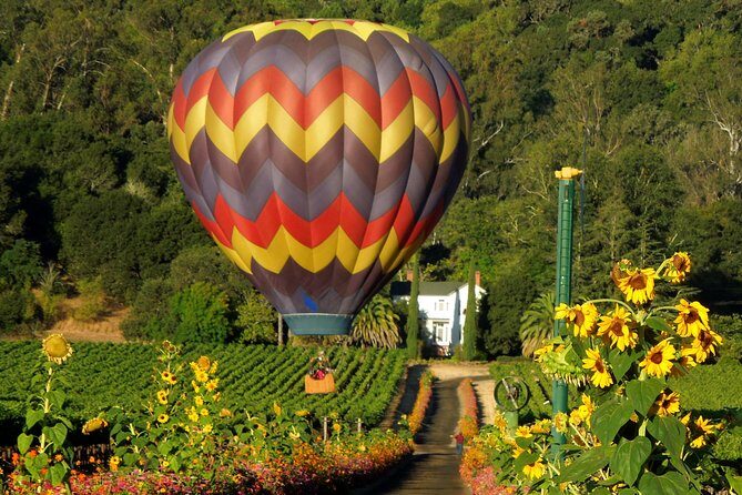 Thrilling Napa Balloon Ride: No change after 5pm the day prior to balloon tour - Key Points
