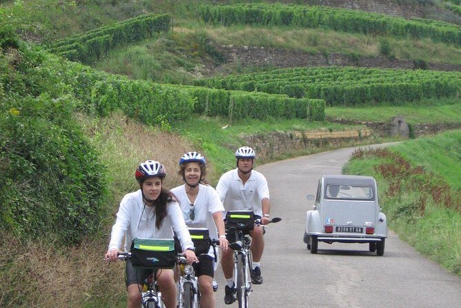 Through Alsace Vineyards and Wine Villages Private Bike Tour - Practical Details and Tips