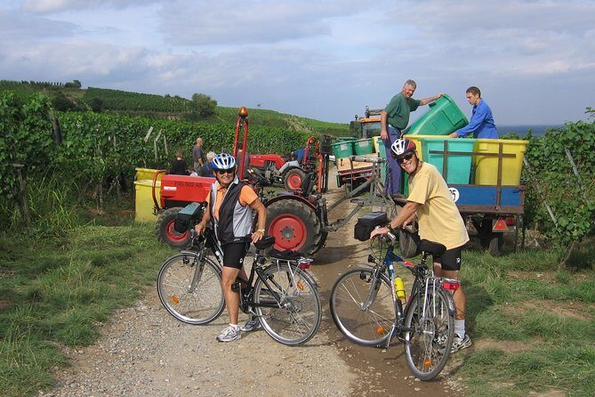 Through Alsace Vineyards and Wine Villages Private Bike Tour - FAQ Section