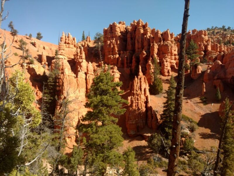 Thunder Mountain Trail: Scenic Horseback Ride - Practical Details: What You Need to Know
