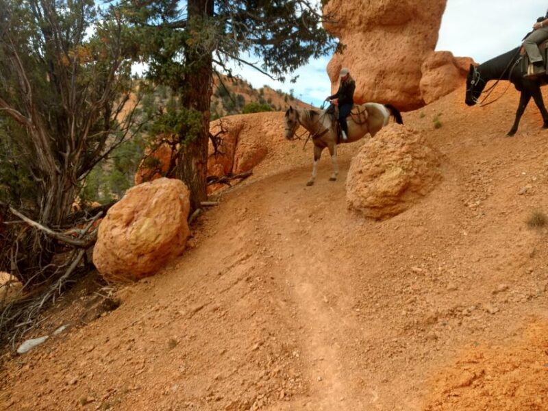 Thunder Mountain Trail: Scenic Horseback Ride - Final Thoughts