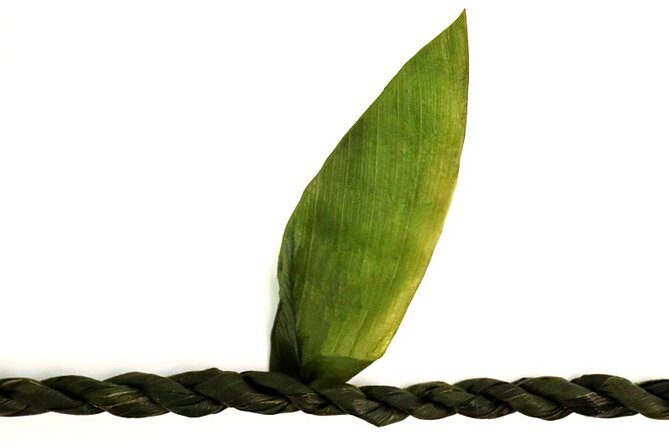 Ti Leaf Airport Lei Greeting (Maui, Kahului Airport, OGG) - An In-Depth Look at the Maui Airport Lei Greeting
