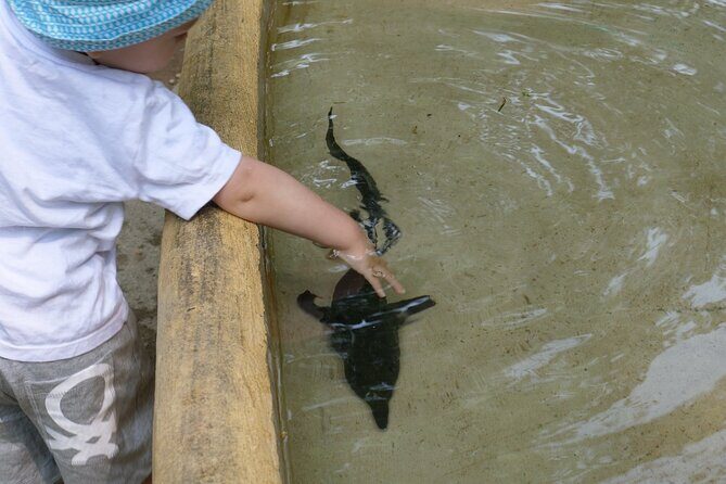 Ticket for Parco Ittico Paradiso at Zelo Buon Persico - Final Thoughts: Is Parco Ittico Paradiso Worth Visiting?