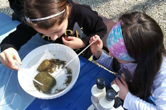 Ticket for Parco Ittico Paradiso at Zelo Buon Persico - FAQs