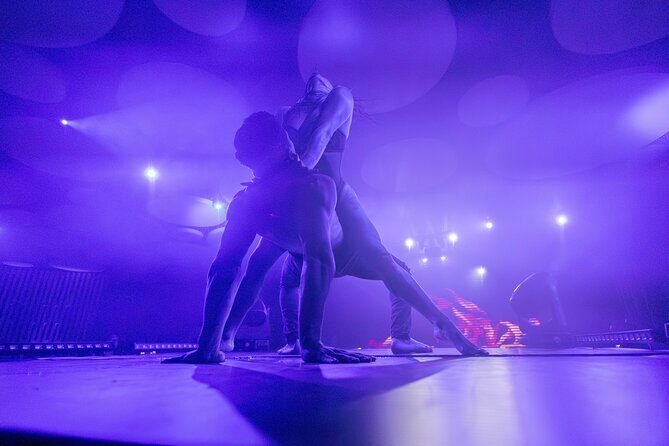 Ticket for Scandal Dinner Show in Santa Cruz de Tenerife - Key Points