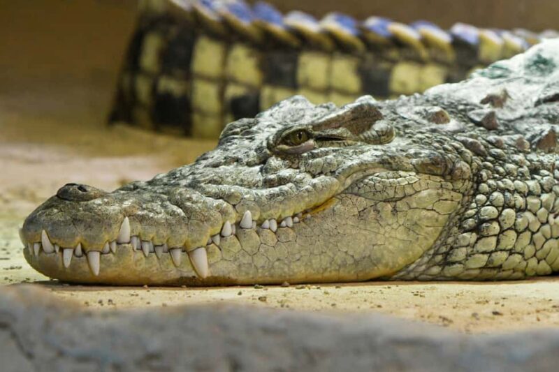 Ticket pack for Zaragoza Amusement Park and Aquarium - Key Points