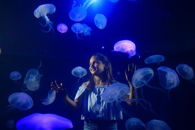 Ticket Palma Aquarium - Final Thoughts: Who Should Visit?