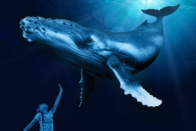 Ticket Palma Aquarium - FAQ
