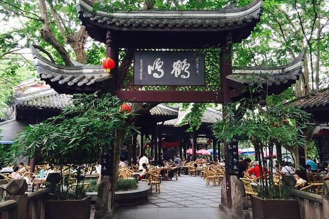 Ticket reservation for Chengdu Giant Panda Breeding Base - The Panda Habitat and What to Expect