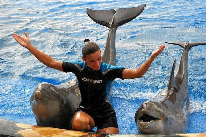 Ticket to Aqualand Tenerife - The Itinerary and What to Expect