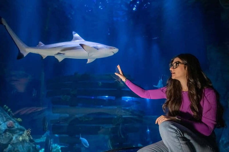 Ticket to SEA LIFE Konstanz - FAQ