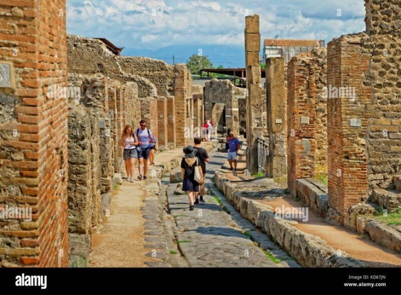 TICKET VESUVIUS SKIP THE LINE WITH SUPPORT ASSISTANCE - Who Would Enjoy This Tour?