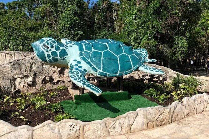 Tickets to 4 cenotes turtle house 2 caverns and 2 outdoors - FAQ