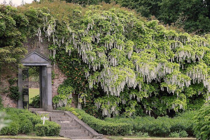 Tickets to Explore Ireland's Global Garden - An In-Depth Look at Mount Congreve Gardens
