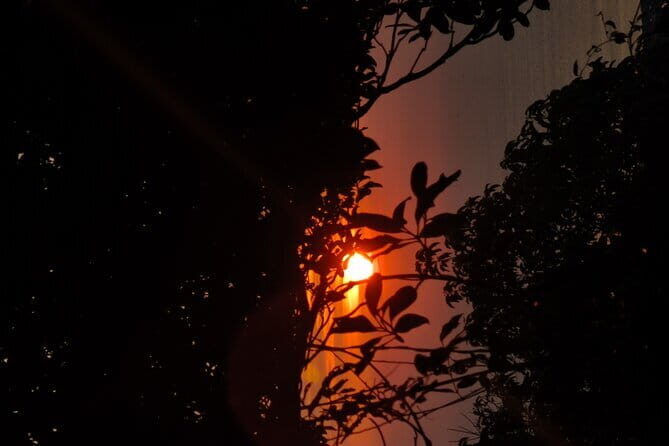 Tien Son Dinh Sunrise Trekking And Coffee - Final Thoughts