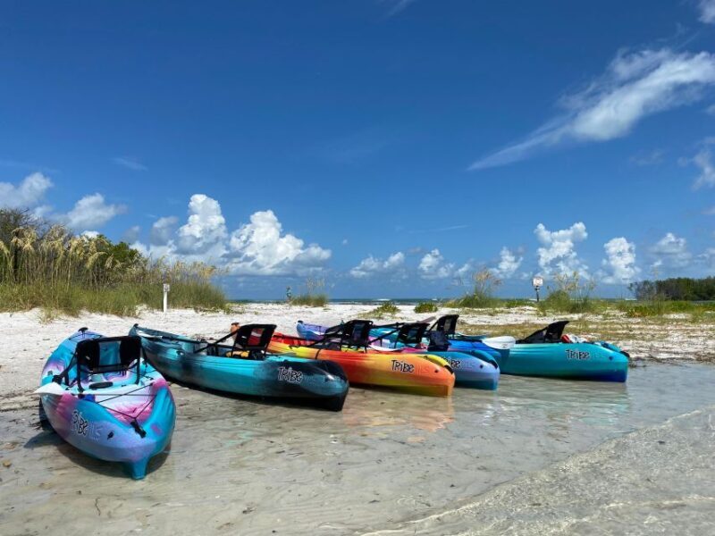 Tierra Verde FL: Coastal Kayaking Tour in Shell Key - Exploring the Coastal Kayaking Tour in Shell Key, Tierra Verde, FL