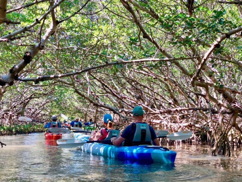 Tierra Verde FL: Coastal Kayaking Tour in Shell Key - In-Depth Breakdown of the Experience