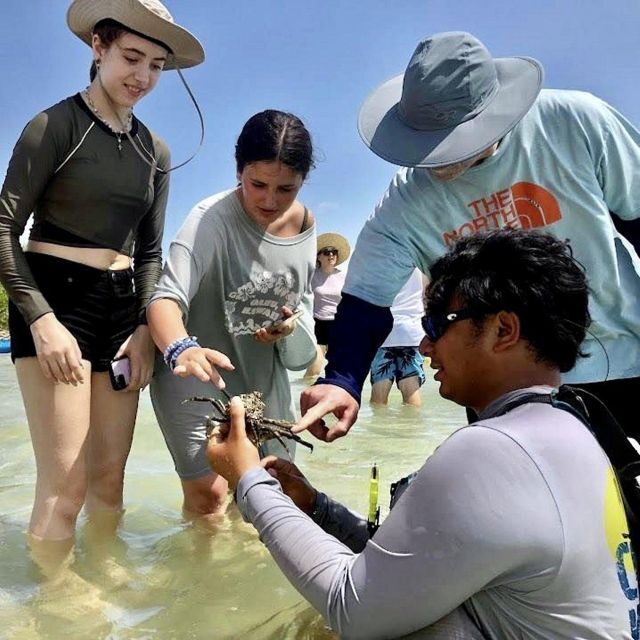 Tierra Verde FL: Coastal Kayaking Tour in Shell Key - Final Thoughts
