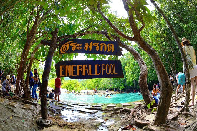 Tiger Cave Temple, Emerald Pool & Hot Springs Tour from Krabi - Who Will Love This Tour?
