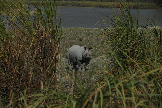 Tiger Reserve and Tribal Village - The Sum Up: Is This Tour Right for You?