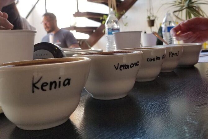 Tijuana Mexico Coffee Shop Hop from San Diego - An In-Depth Look at the Tijuana Coffee Shop Hop Experience