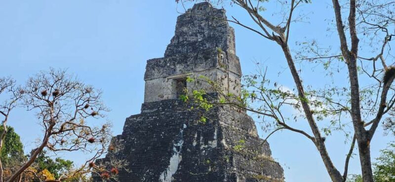 Tikal from Hotel Camino Real El Remate - All Inclusive - Authenticity and Experience