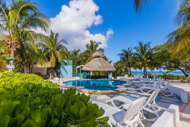 Tikinxic Barefoot Fish Guided Cookout Experience in Cozumel - FAQ