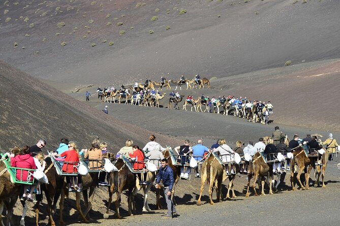 Timanfaya Park & Camel Ride (extra cost) - Short South Tour - The Sum Up
