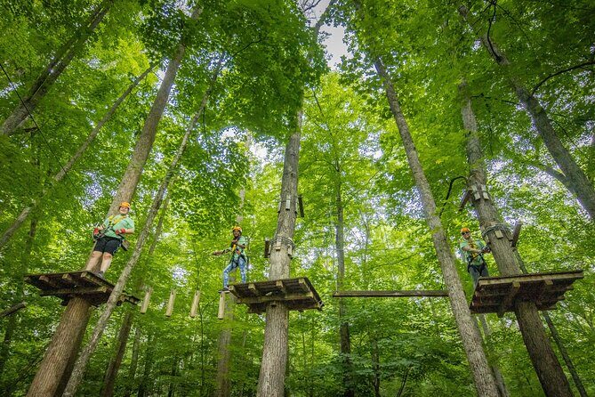 TimberTrek Treetop Challenge Adventure - A Closer Look at TimberTrek Treetop Challenge Adventure