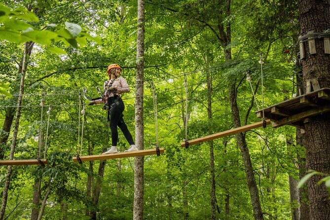 TimberTrek Treetop Challenge Adventure - What Makes TimberTrek Stand Out