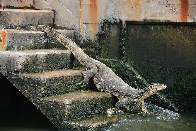 Timeless Thonburi Canal and Food Tour - FAQ