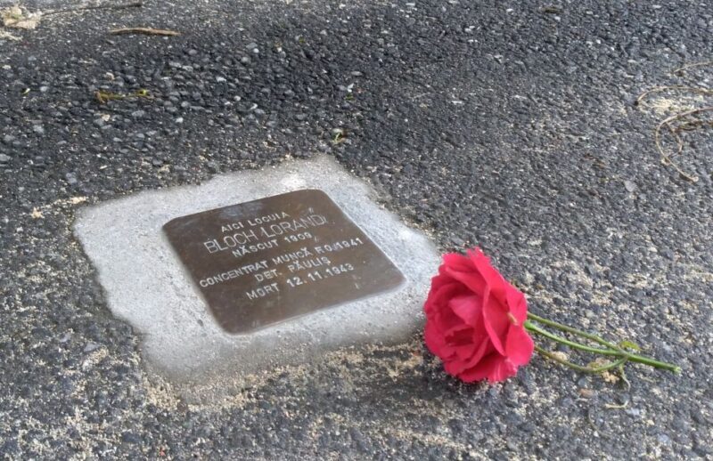 Timisoara: Jewish Heritage Walking Tour - Why This Tour Stands Out