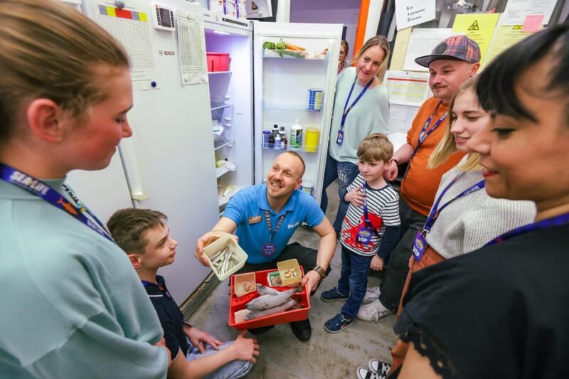 Timmendorfer Strand: SEA LIFE Behind the Scenes Tour - Key Points