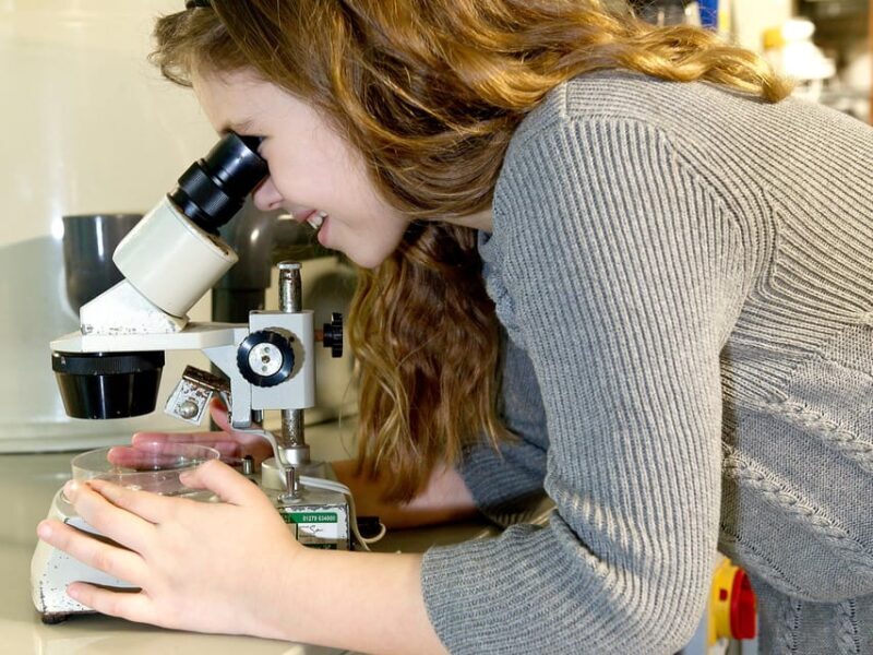 Timmendorfer Strand: SEA LIFE Behind the Scenes Tour - A Closer Look at the Timmendorfer Strand SEA LIFE Experience