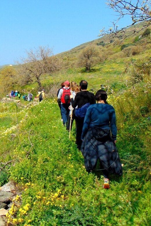 Tinos: Tarampados to Komi Guided Hiking Tour - Final Thoughts: Who Will Love This Tour?