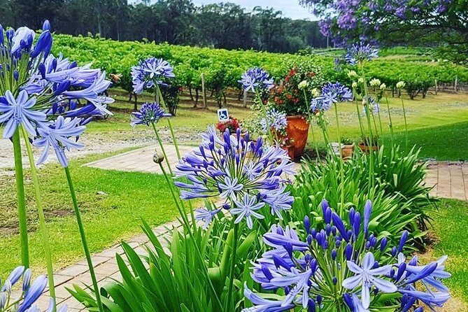 Tintilla Estate: Wine Tasting with a Meat and Cheese Platter - The Sum Up: Is It Worth It?