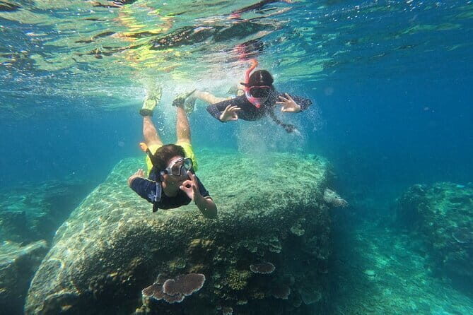 Tioman Coral Island Snorkeling & Island Hopping Tour - Practical Details and What They Mean for You