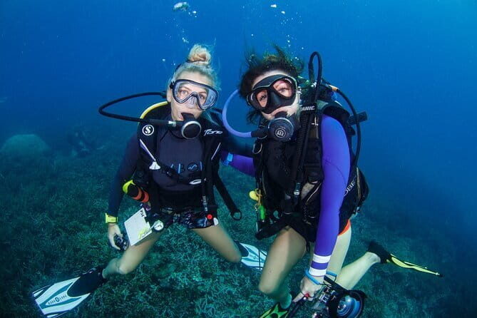 Tioman Coral Island Snorkeling & Island Hopping Tour - Final Thoughts: Is It Worth It?