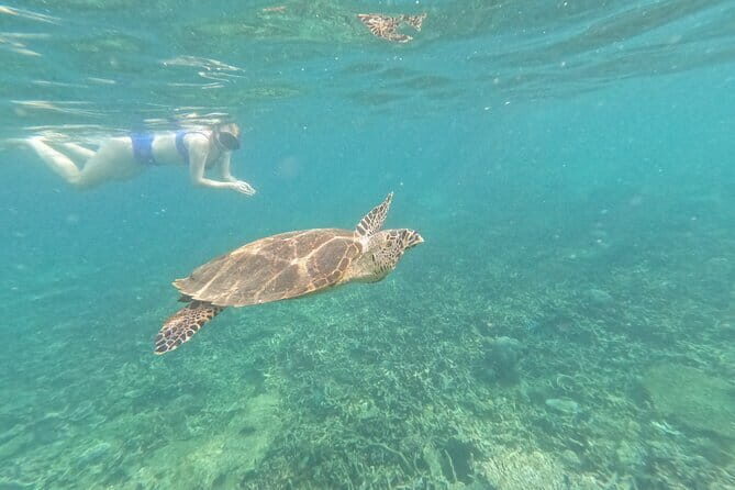 Tioman Coral Island Snorkeling & Island Hopping Tour - FAQ