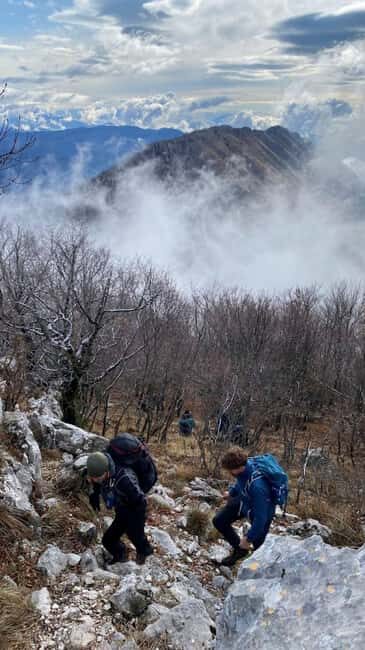 Tirana: Dajti National Park and Tujani Peak Hiking Tour - An In-Depth Look at the Hiking Tour