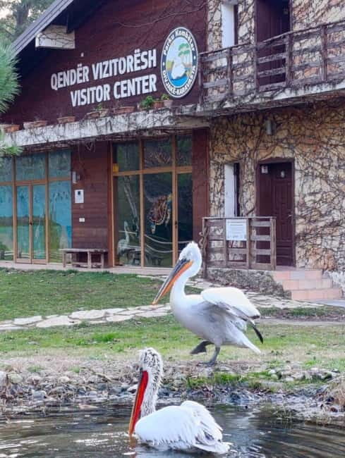 Tirana / Durrës: Berat UNESCO City & Karavasta National Park - Practical Tips for Your Day Trip