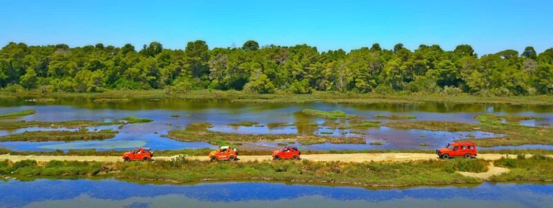 Tirana/Durres/Golem: Karavasta Lagoon Day Tour with Boat - Key Points