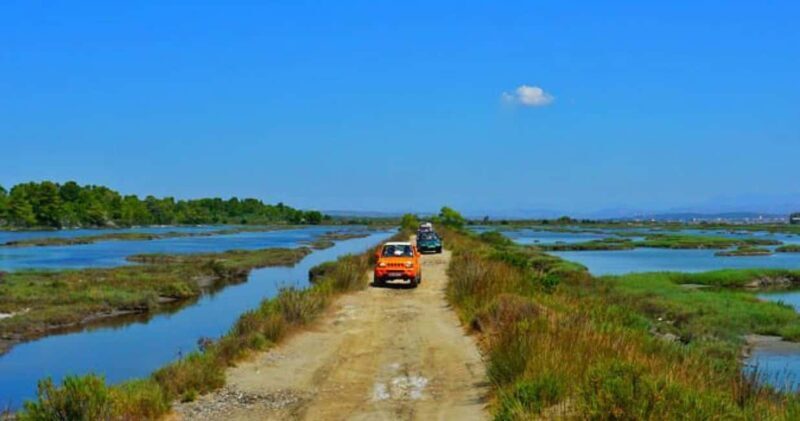 Tirana/Durres/Golem: Karavasta Lagoon Day Tour with Boat - Is It Worth the Price?