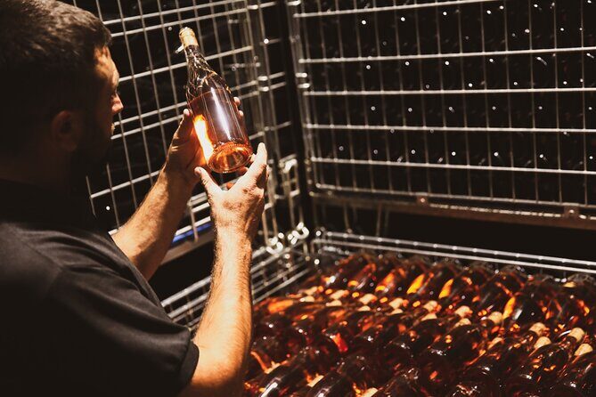 Tirana Lundra Winery Guided Tour with Wine Tasting - Exploring the Tirana Lundra Winery Guided Tour with Wine Tasting