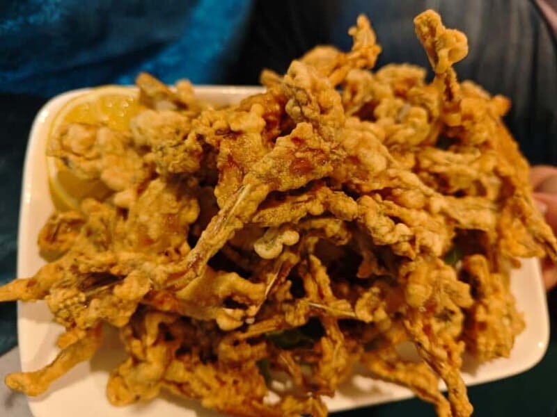 Tirana to Bylis & Apollonia: Private day trip - The Sum Up